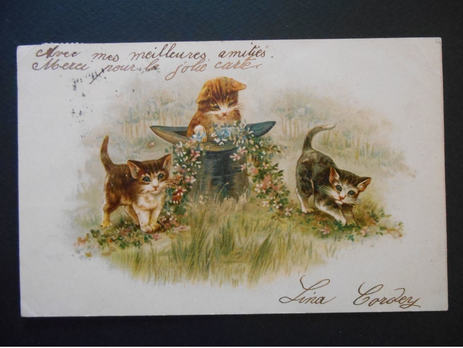 Chatons Jouant Avec Guirlande De Fleurs Et Chapeau Haut-de-forme Dans Un Pré - Katten