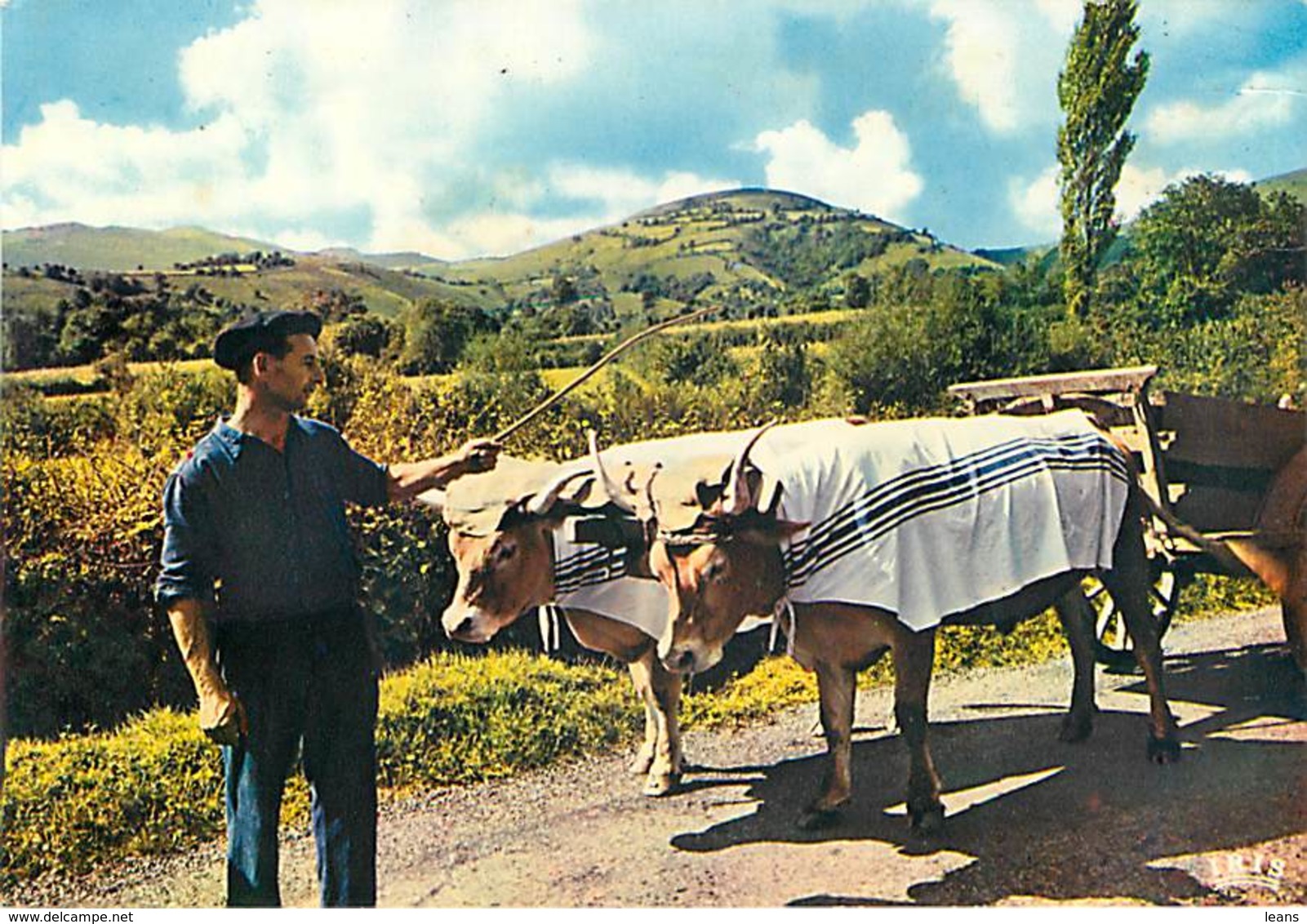 FOLKLORE BASQUE - Attelage - Attelages