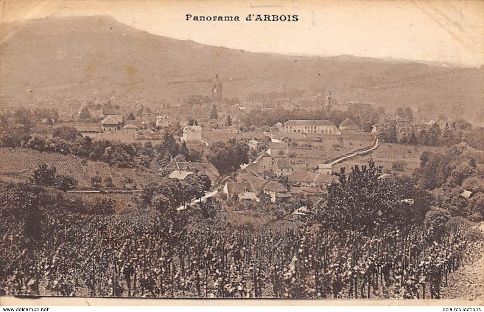 Arbois           39         Panorama       (voir Scan) - Arbois