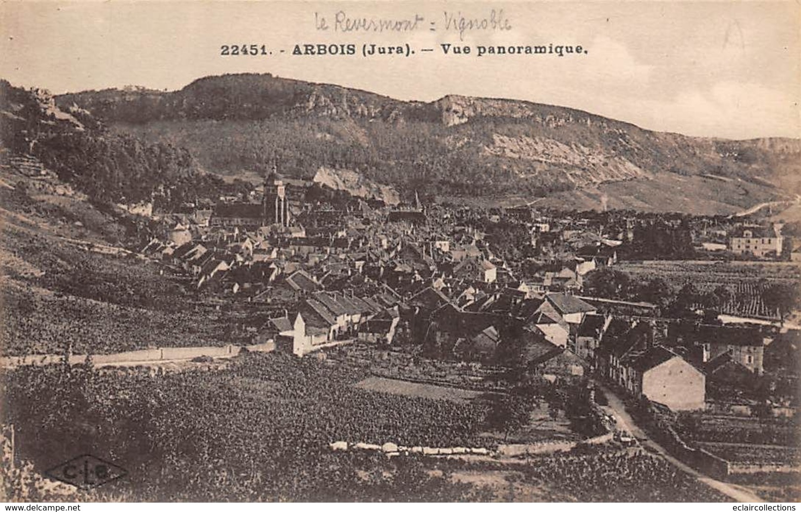 Arbois           39        Vue Panoramique         (voir Scan) - Arbois