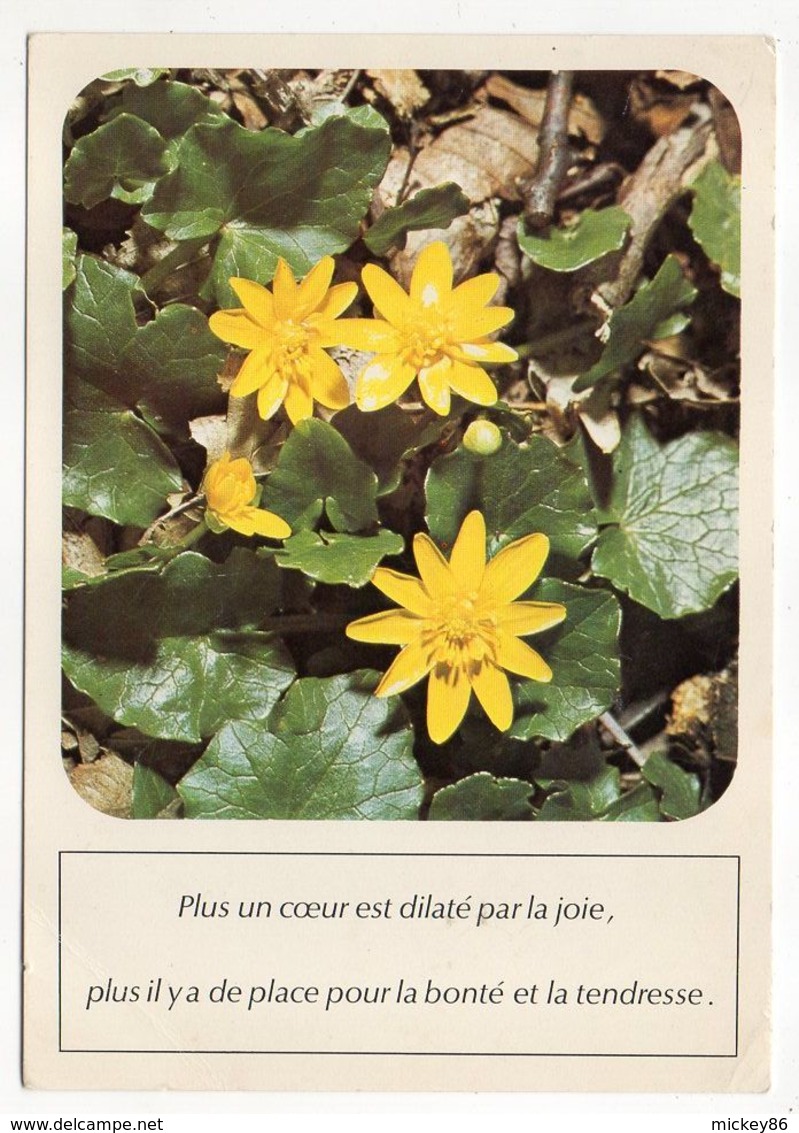 Belgique -1976---timbre "Journée Du Timbre " Seul Sur Carte Postale "fleurs" - Covers & Documents