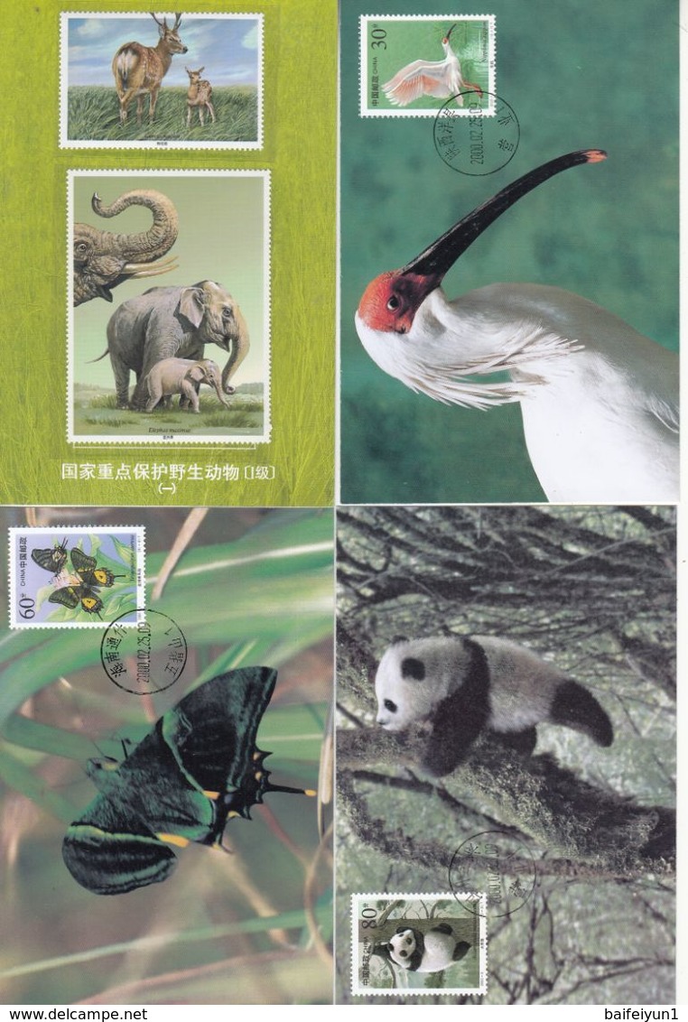 China 2000-3  MC-40 1st Class Wildlife Protection Stamps Maxcards - Cartes-maximum