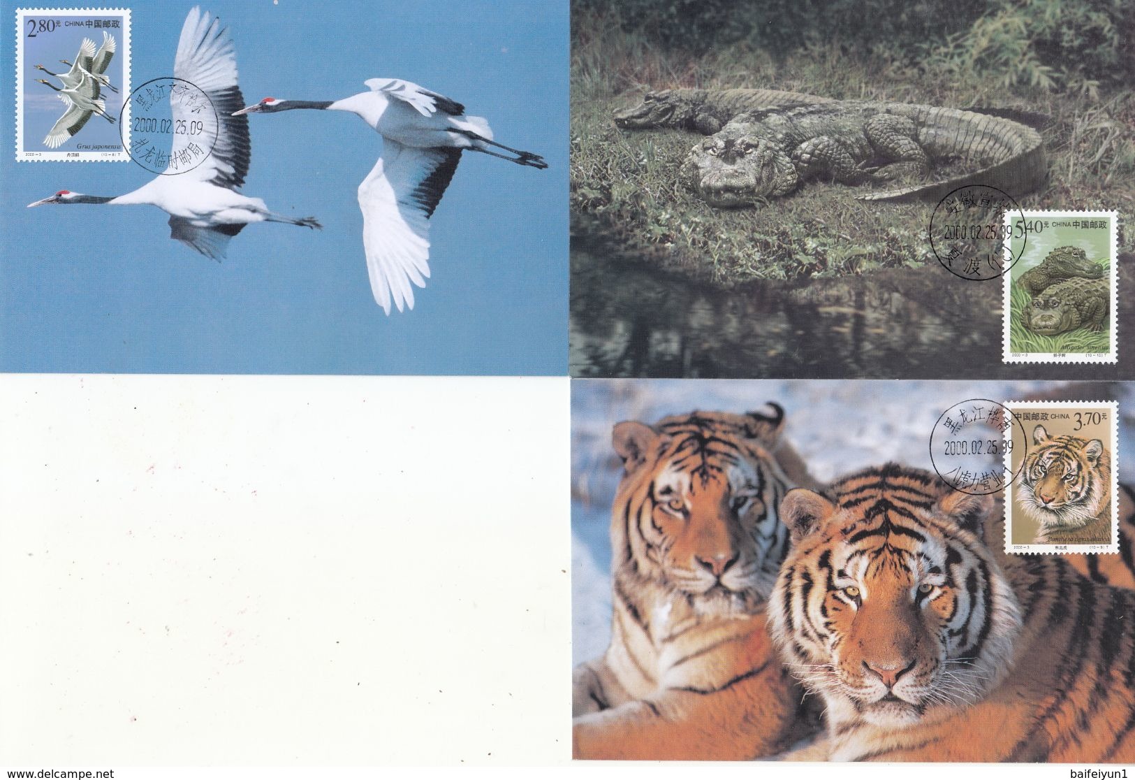 China 2000-3  MC-40 1st Class Wildlife Protection stamps Maxcards