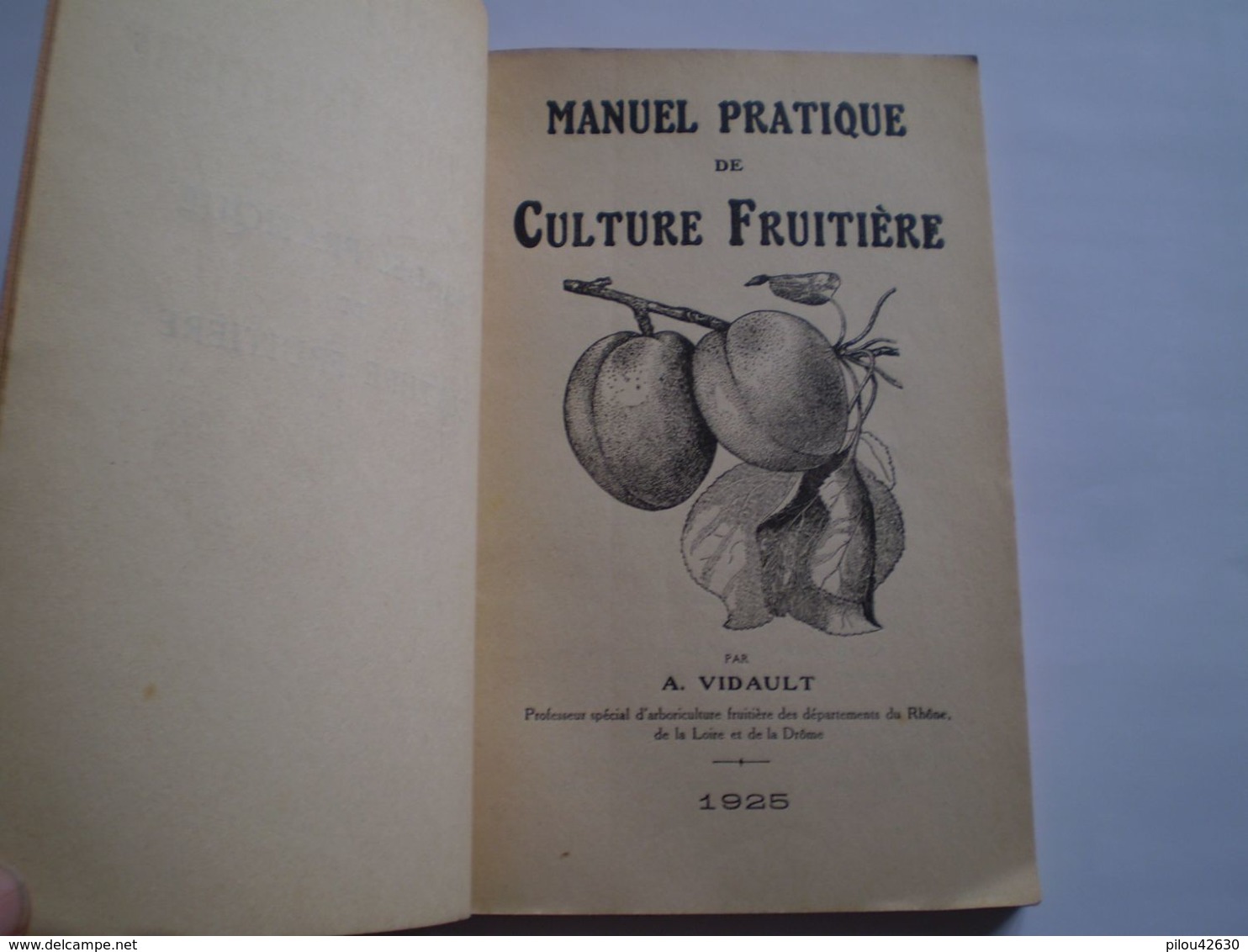 Manuel Pratique De Culture Fruitière De A Vidault: Poirier,pêcher,abricotier,cerisier,prunier,cassis... 20 Publicités - Garden