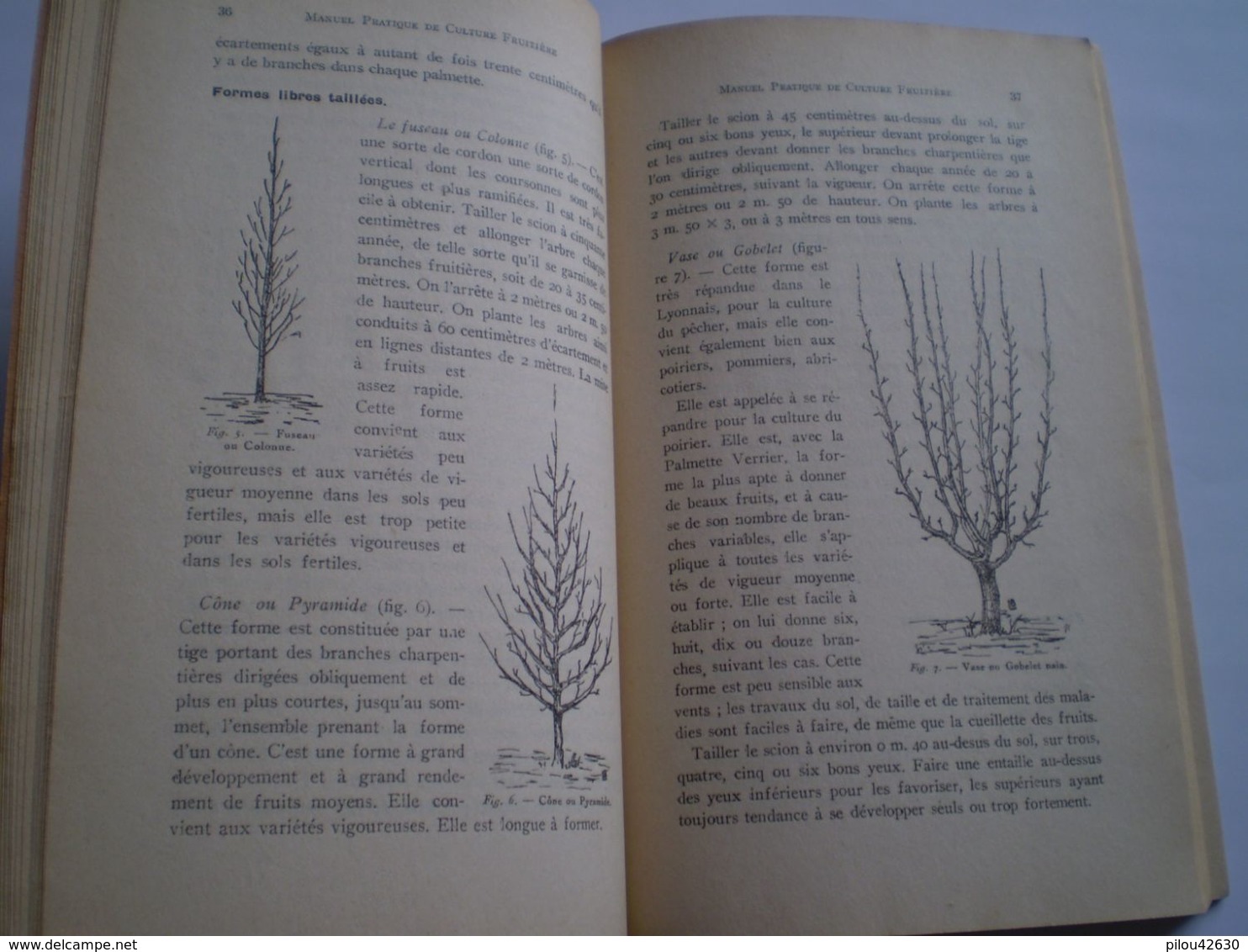 Manuel Pratique De Culture Fruitière De A Vidault: Poirier,pêcher,abricotier,cerisier,prunier,cassis... 20 Publicités - Garden