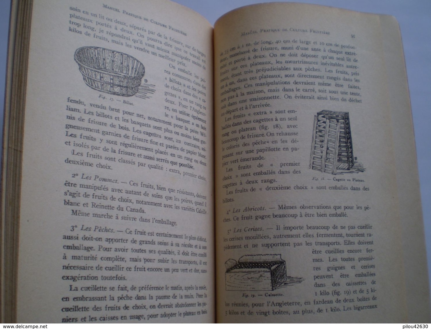 Manuel Pratique De Culture Fruitière De A Vidault: Poirier,pêcher,abricotier,cerisier,prunier,cassis... 20 Publicités - Garden