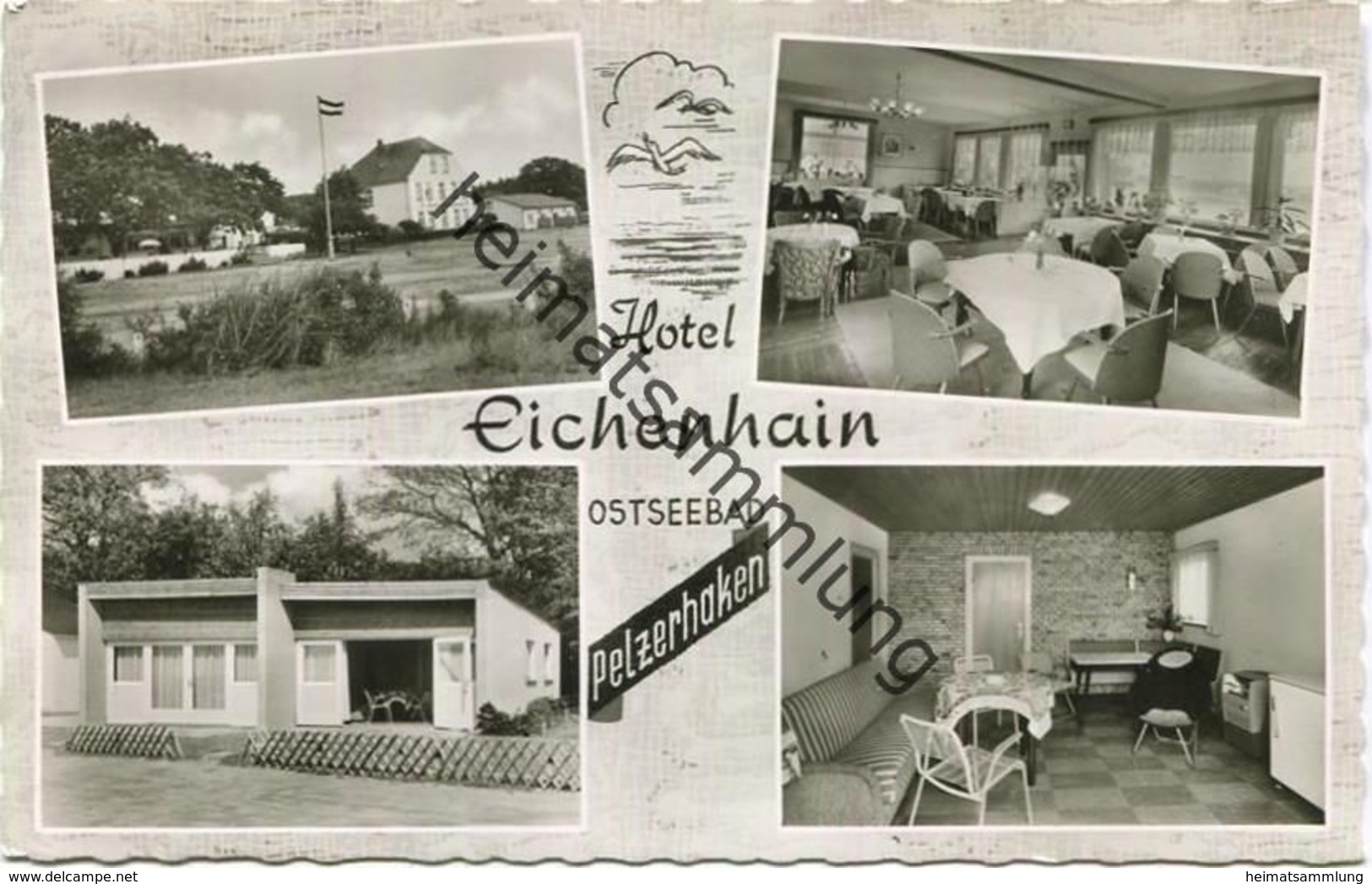 Ostseebad Pelzerhaken - Hotel Eichenhain Besitzer Annemarie Schnoor - Foto-AK - Cramers Kunstanstalt Dortmund Gel. 1966 - Neustadt (Holstein)