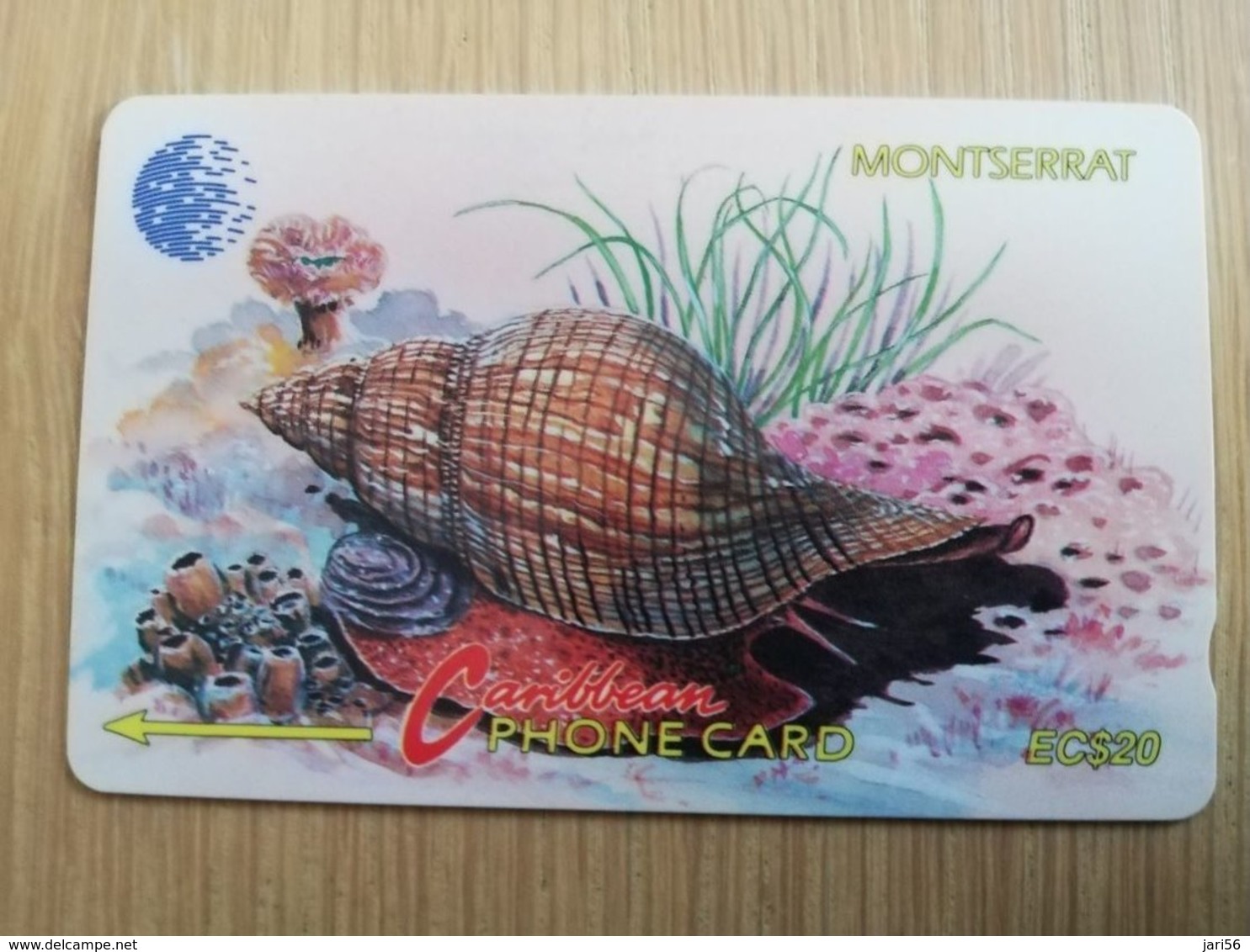 MONTSERRAT  $20,-   TULIP SNAIL   MON-7B 7CMTAB   FINE USED CARD     ** 2294 ** - Montserrat