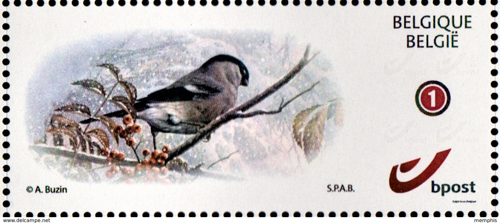 Zelfklevende MyStamp Goudvink - 1985-.. Vögel (Buzin)