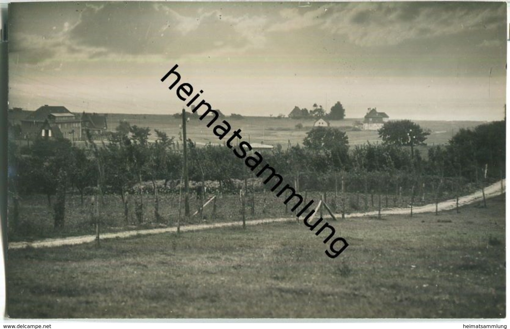 Pelzerhaken - Foto-Ansichtskarte - Stempel Julius Simonsen Oldenburg - Neustadt (Holstein)
