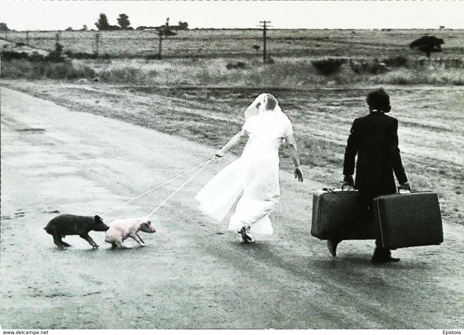 Mariage Wedding Cochon Pig Valise  The First Day - Réceptions