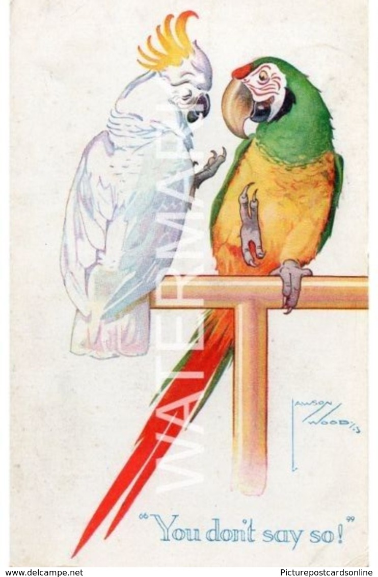 YOU DONT SAY SO TWO PARROTS OLD  COLOUR POSTCARD ARTIST SIGNED LAWSON WOOD VALENTINE POSTCARD - Wood, Lawson