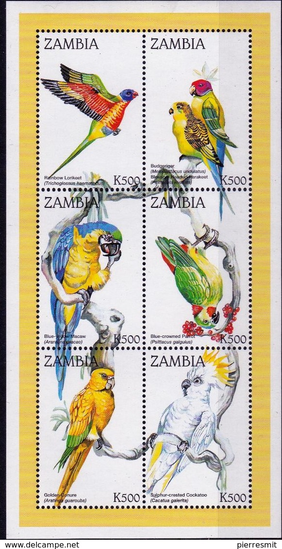 Zambia - 1998 M/S Parrots UMM - Zambia (1965-...)