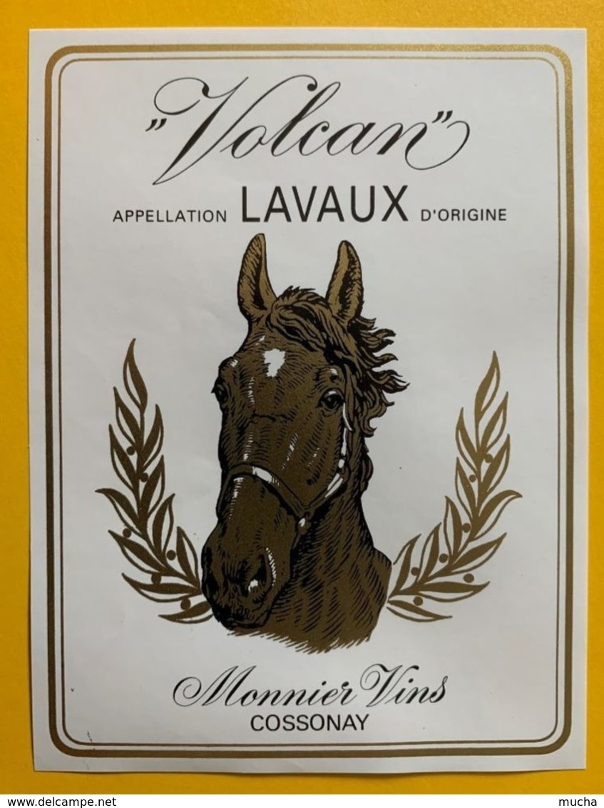 15034 - Volcan Lavaux Monnier Vins Cossonay - Pferde
