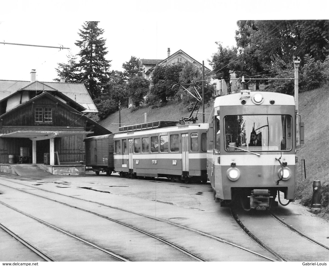 BVA - Trogen TB - T.B.  Trogenerbahn  Appenzeller Bahnen Ligne De Chemin De Fer Train - Trogen