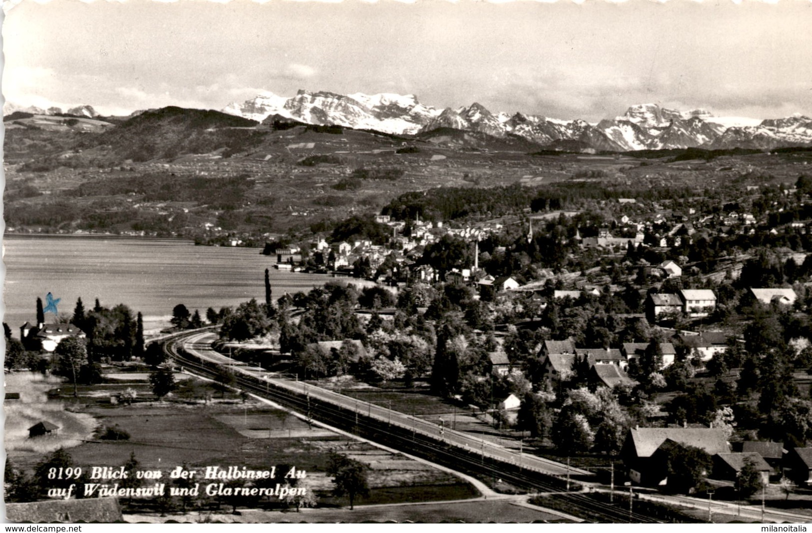 Blick Von Der Halbinsel Auf Auf Wädenswil Und Glarneralpen (8199) * 7. 10. 1961 - Wädenswil