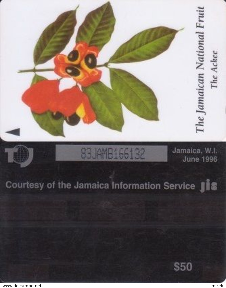 185/ Jamaica; The Ackee, CP 83JAMB - Jamaica