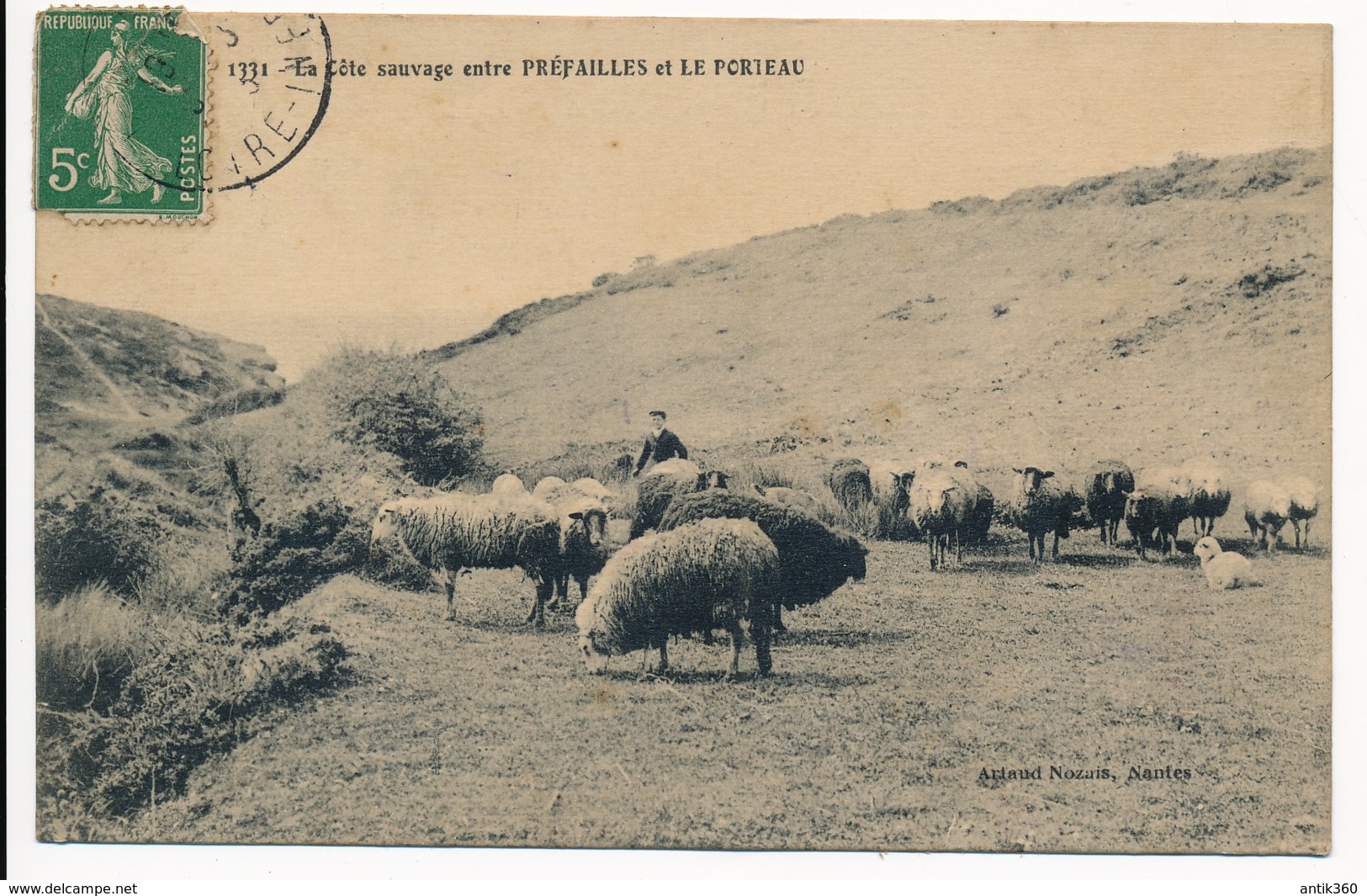 CPA 44 La Côte Sauvage Entre Préfailles Et Le Porteau Berger Et Moutons - Préfailles