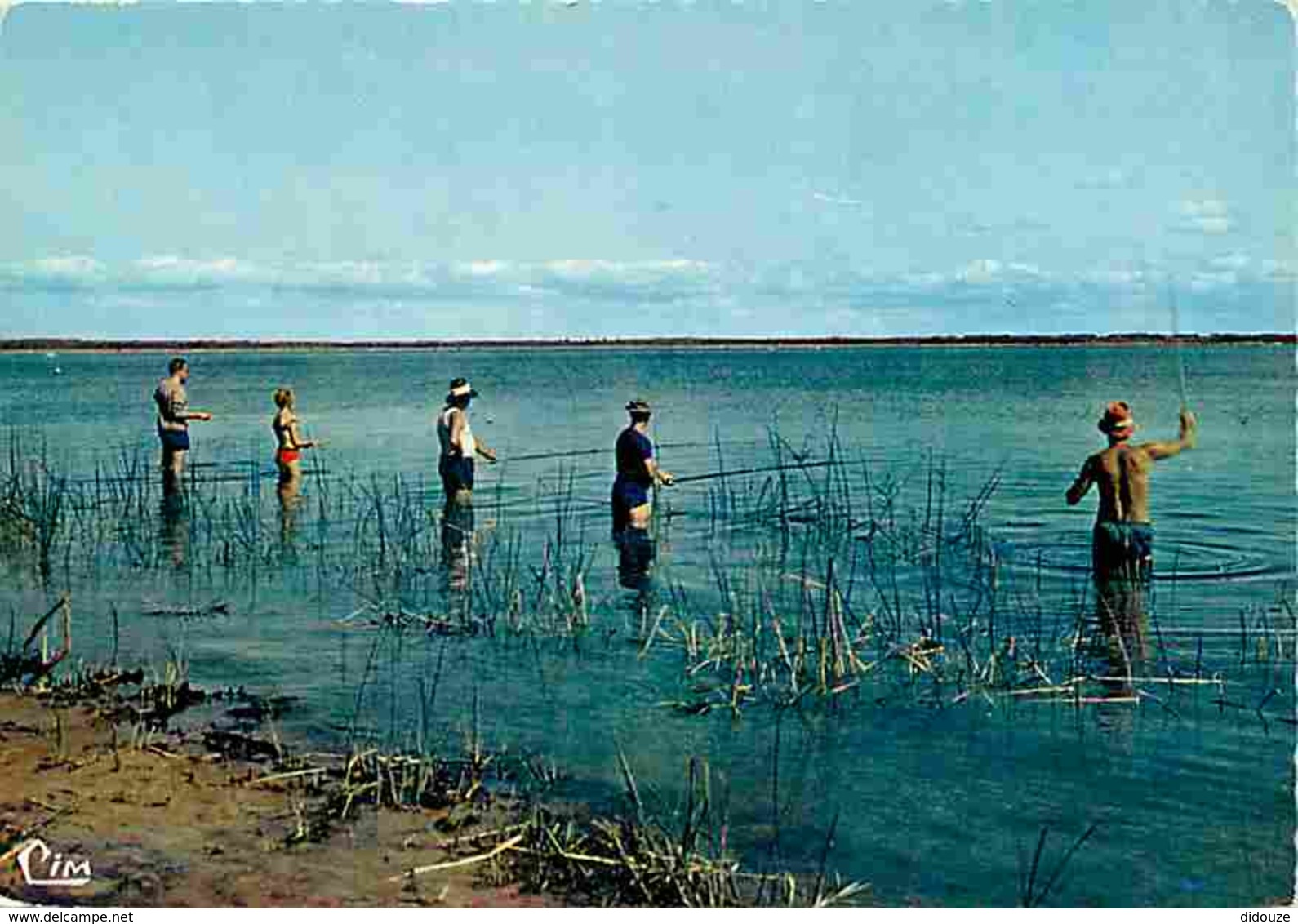 33 - Lacanau - Autour Du Lac De Lacanau - Le Montchic - Joie De La Pêche Sur Le Lac Au Moutchic - CPM - Voir Scans Recto - Autres & Non Classés