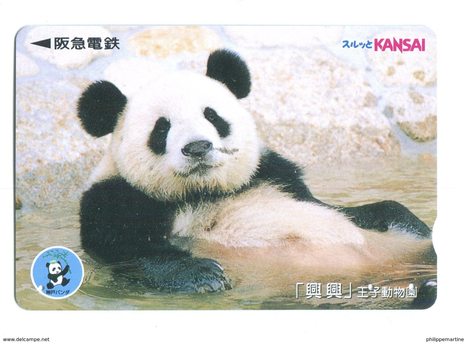 Titre De Transport Kansai : Panda - Monde
