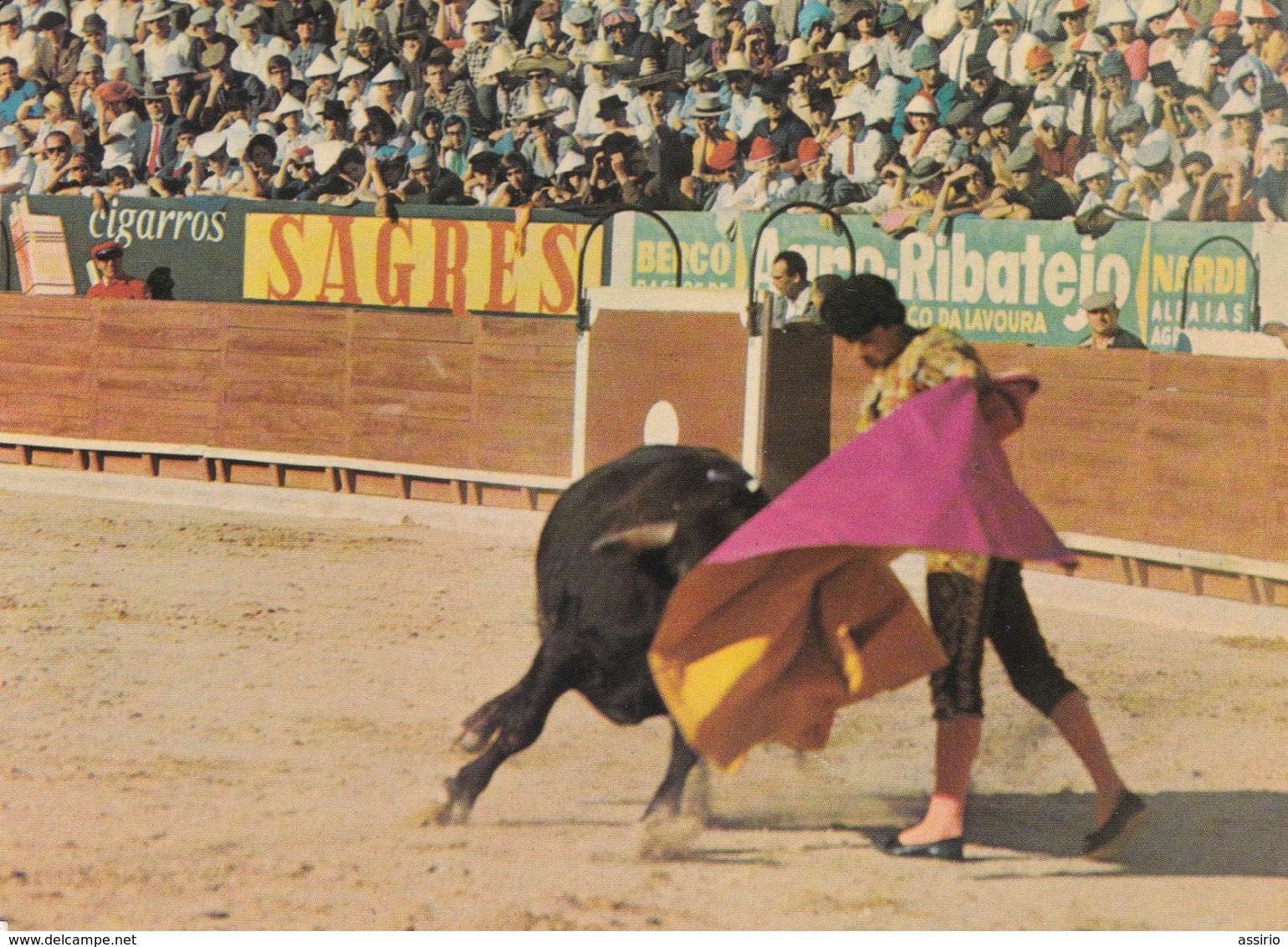 Portugal -Lisboa  Toiros No Campo Pequeno 8 Postais  Detalhe De Uma Corrida - Lisboa