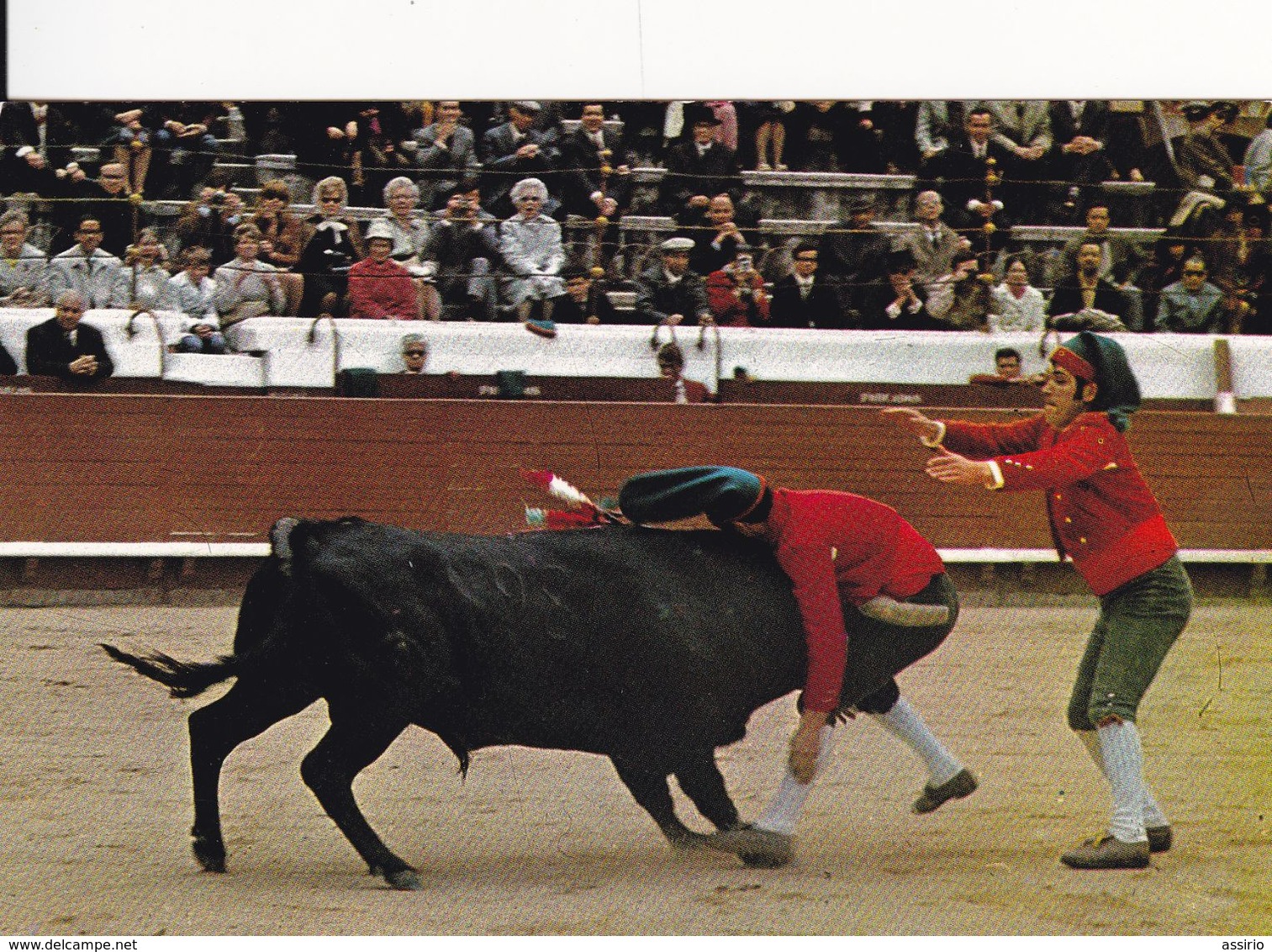 Portugal -Lisboa  Toiros no Campo pequeno 8 postais  detalhe de uma corrida