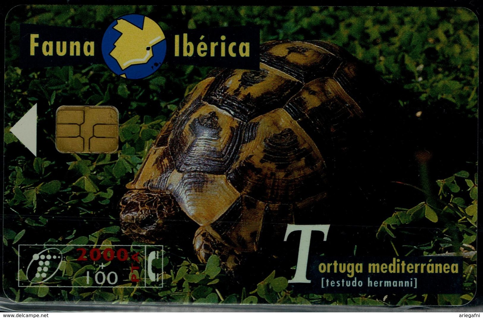 SPAIN 1999 PHONECARD TURTLES USED VF!! - Turtles