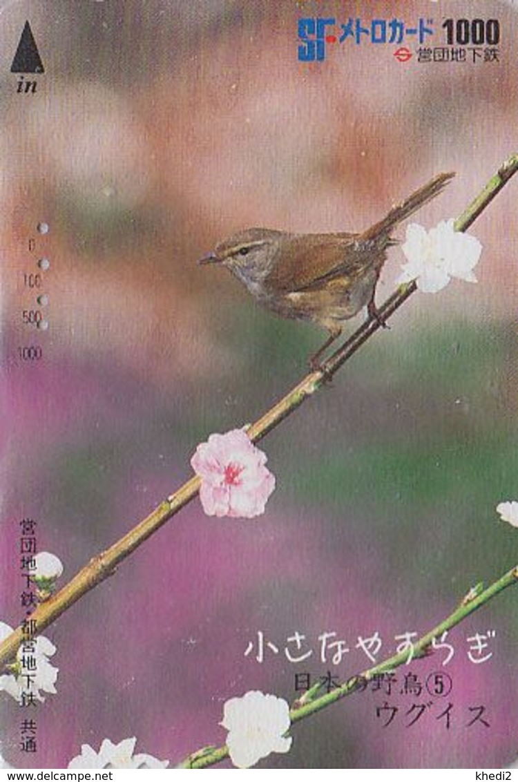 Carte JAPON - Série OISEAUX 5/16 - Animal - OISEAU - FAUVETTE - BIRD JAPAN Prepaid Metro Card - VOGEL - 4547 - Passereaux