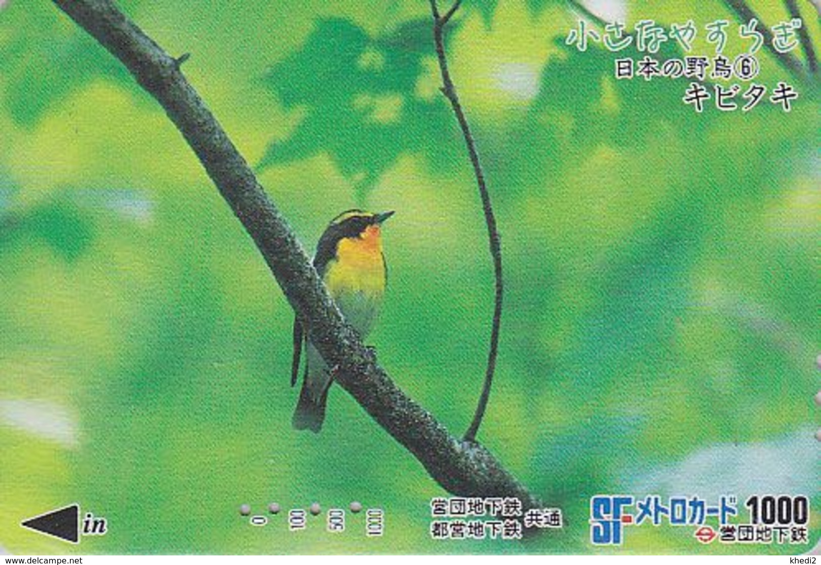 Carte JAPON - Série OISEAUX 6/16 - Animal - OISEAU - GOBEMOUCHE - FLYCATCHER BIRD JAPAN Prepaid Metro Card - 4548 - Passereaux