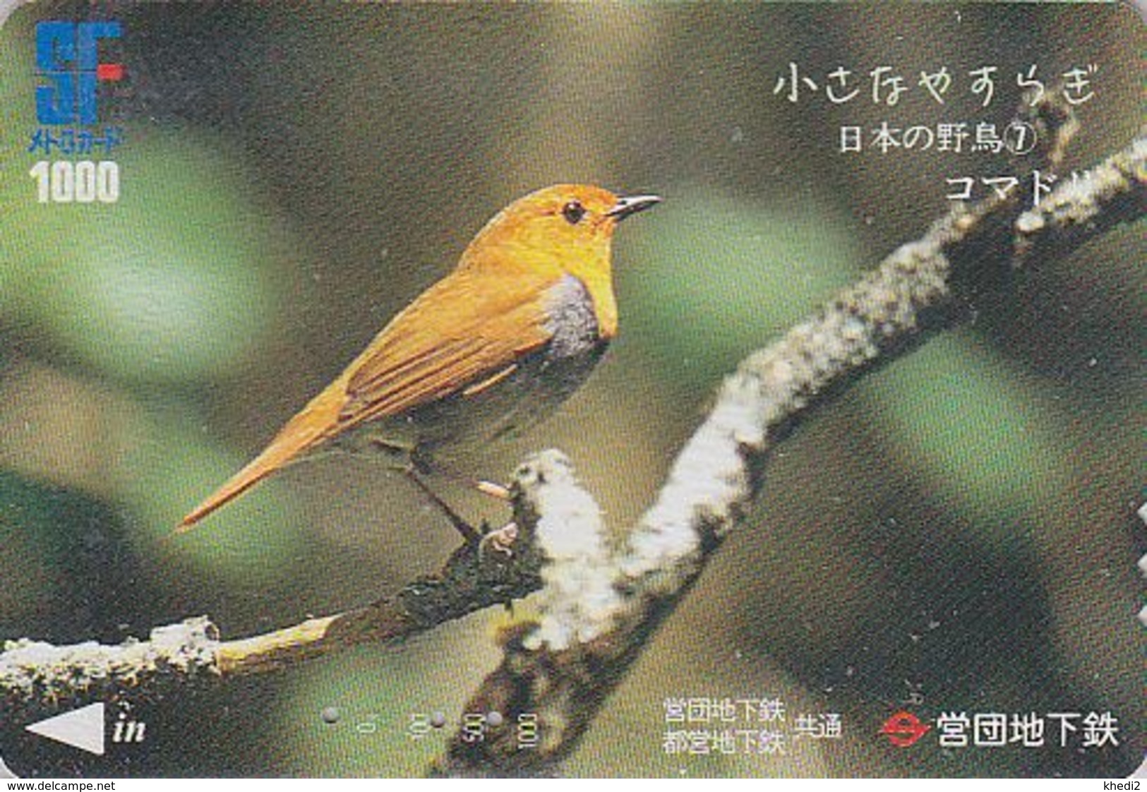 Carte JAPON - Série OISEAUX 7/16 - Animal - OISEAU - ROUGE GORGE - ROBIN BIRD JAPAN Prepaid Metro Card - 4549 - Sperlingsvögel & Singvögel