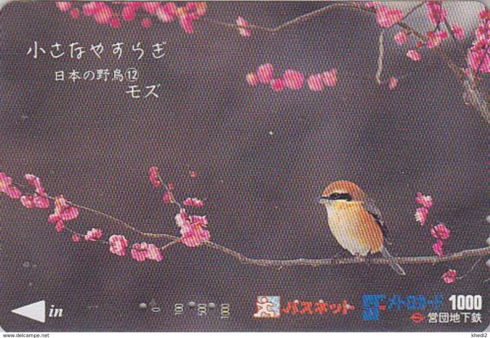 Carte JAPON - Série OISEAUX 12/16 - Animal -  OISEAU - PIE GRIECHE - SHRIKE BIRD JAPAN Prepaid Metro Card - VOGEL - 3551 - Sperlingsvögel & Singvögel