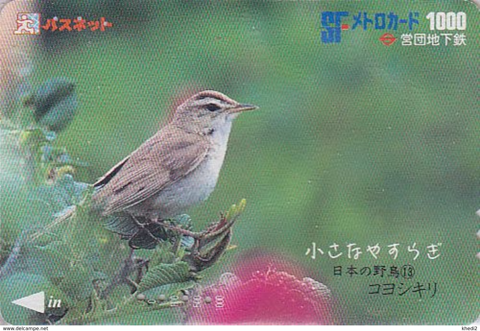 Carte JAPON - Série OISEAUX 13/16 - Animal - OISEAU - FAUVETTE - WARBLER BIRD JAPAN Prepaid Metro Card - 4552 - Zangvogels