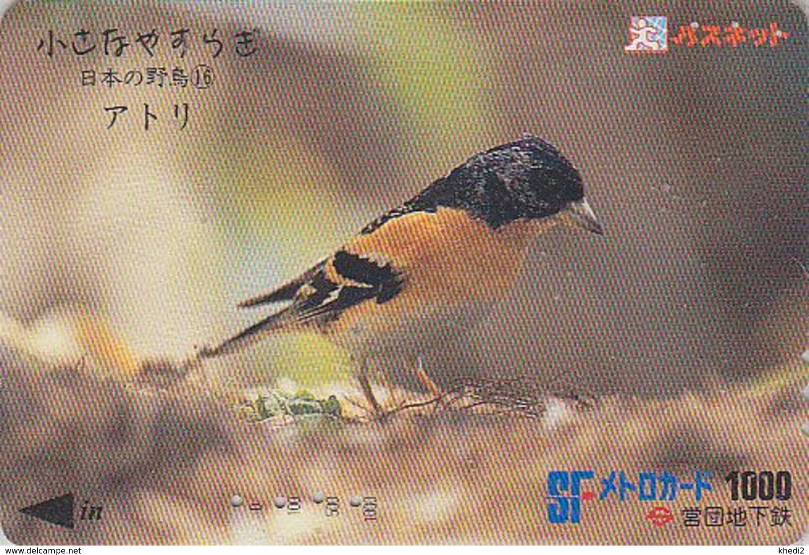 Carte JAPON - Série OISEAUX 16/16 - Animal - OISEAU - PINSON DU NORD - FINCH BIRD JAPAN Prepaid Metro Card - VOGEL  4553 - Zangvogels