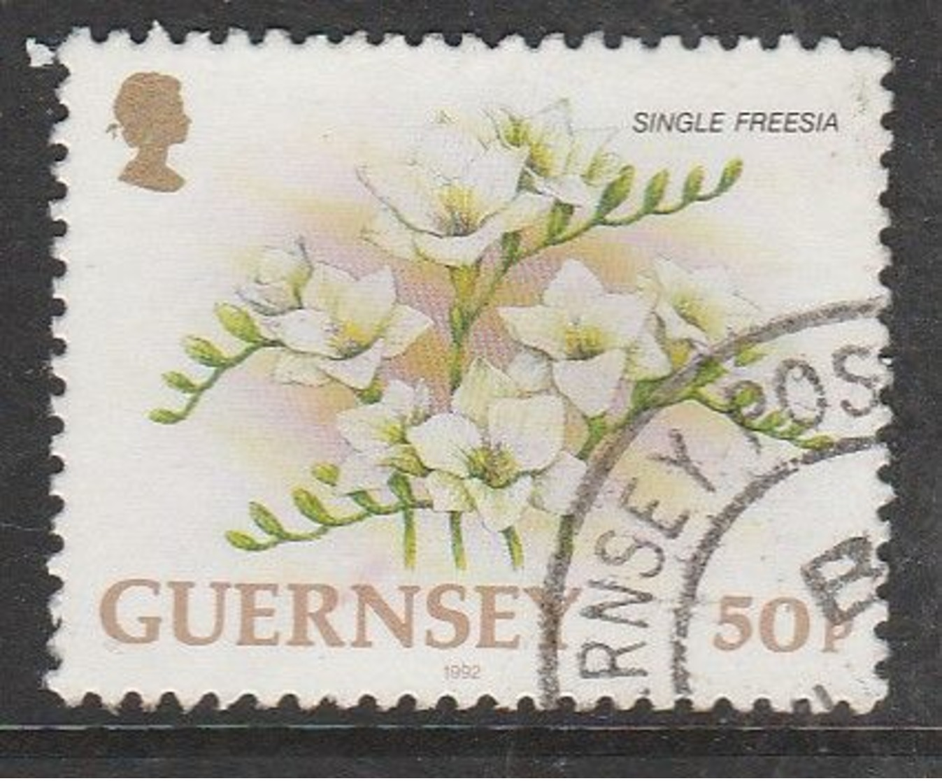 Guernsey 1992 Flowers 50 P Multicolored SW 560 O Used - Guernsey