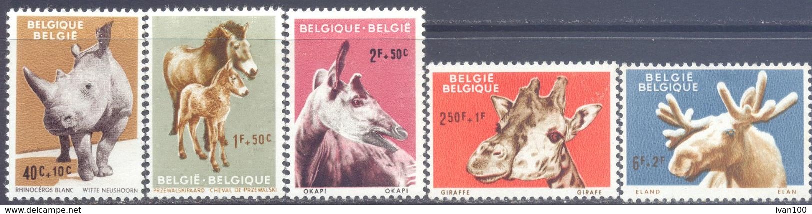 1961. Belgium,  Animals, Zoo Of Antwerpen, 5v, Mint/** - Ongebruikt