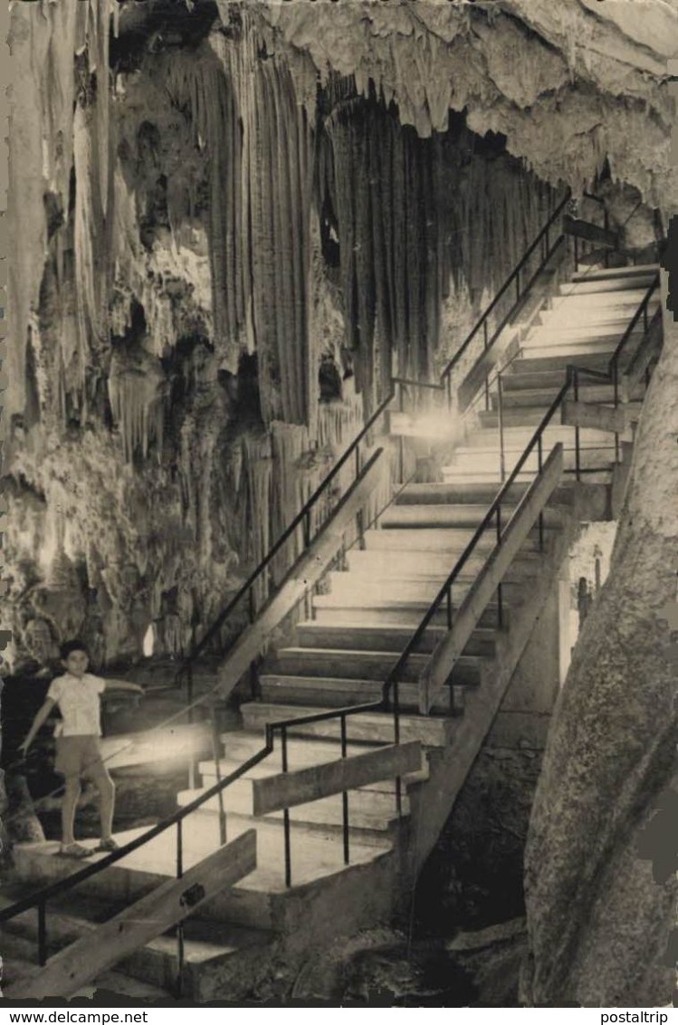 Málaga - Cueva De Nerja. Andalucia // España - Málaga