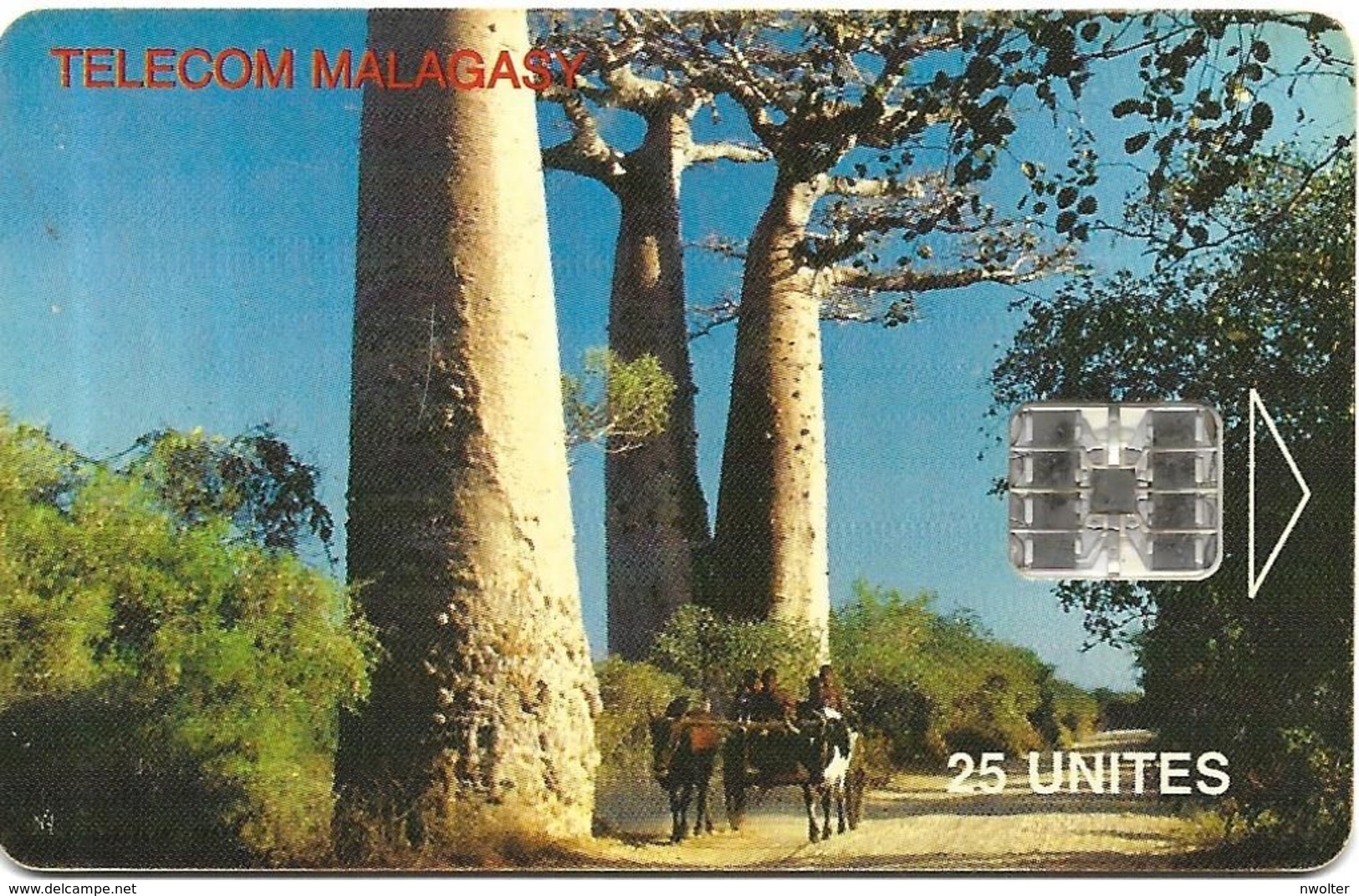 @+ TC De Madagascar : Baobabs - 25U -  SC7 - 900 000ex ( Ref : MDG-37 ) - Madagascar