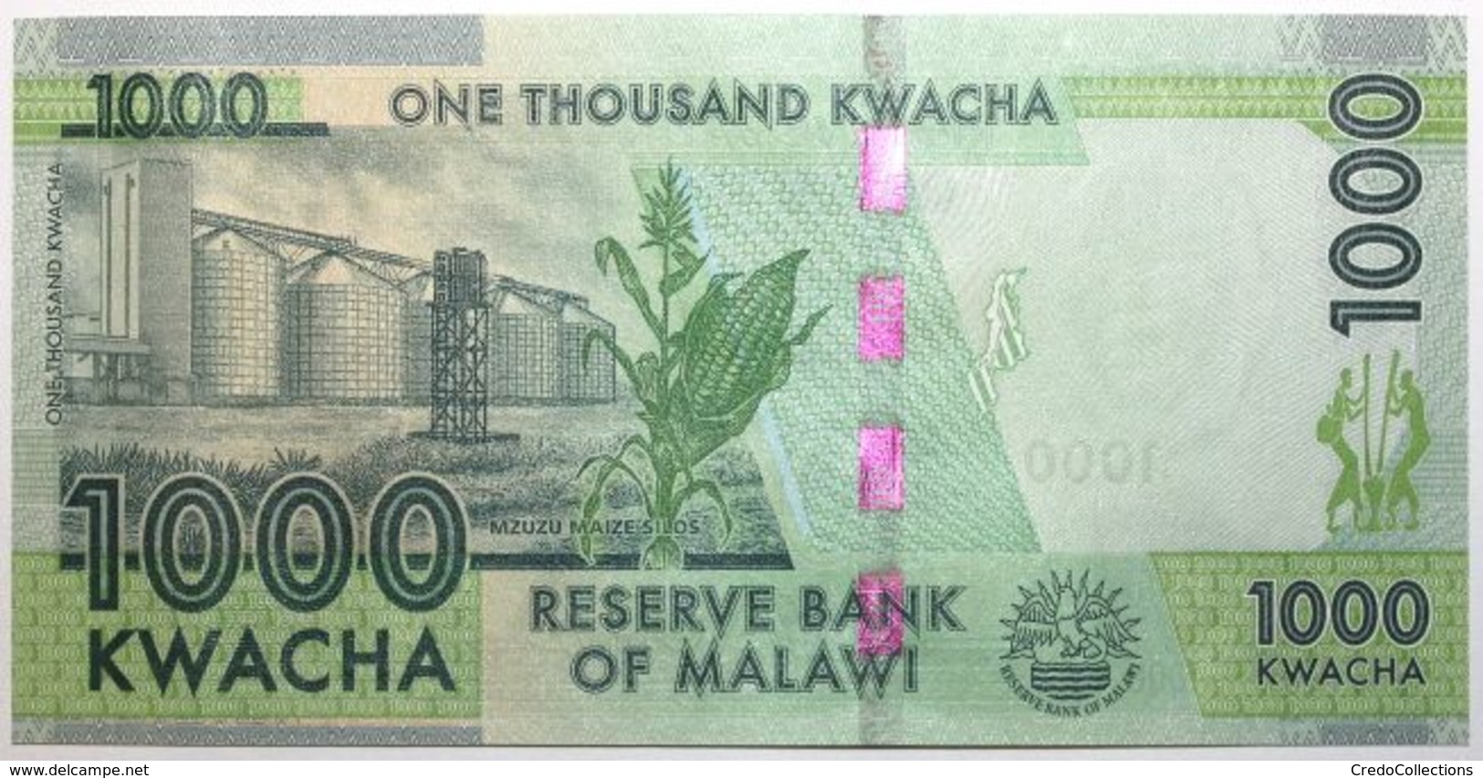 Malawi - 1000 Kwacha - 2016 - PICK 67b - NEUF - Malawi