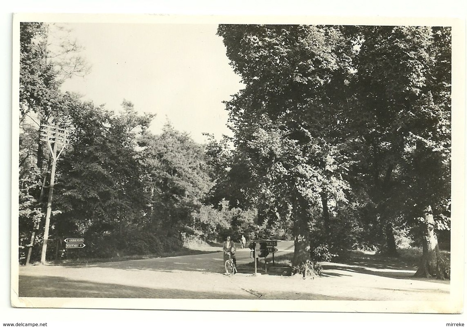 Bouwel Steenweg -  Zicht Vanuit De Lindekens - Grobbendonk