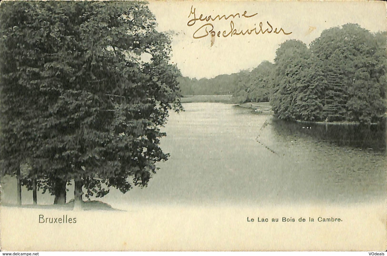 028 506 - CPA - Belgique - Brussels - Bruxelles - Lac Du Bois De La Cambre - Forêts, Parcs, Jardins