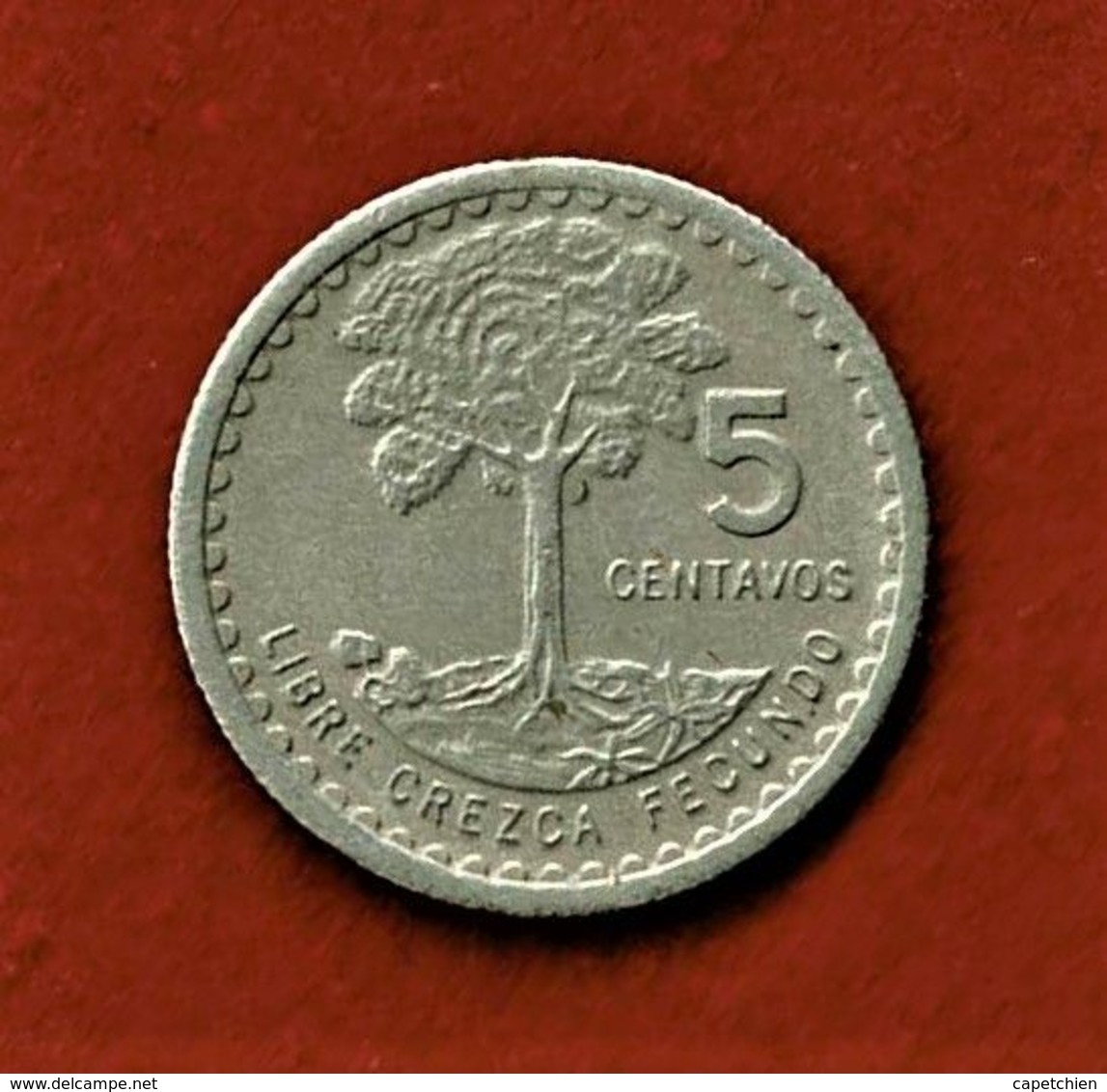 GUATEMALA / 5 CENTAVOS / 1975 - Guatemala