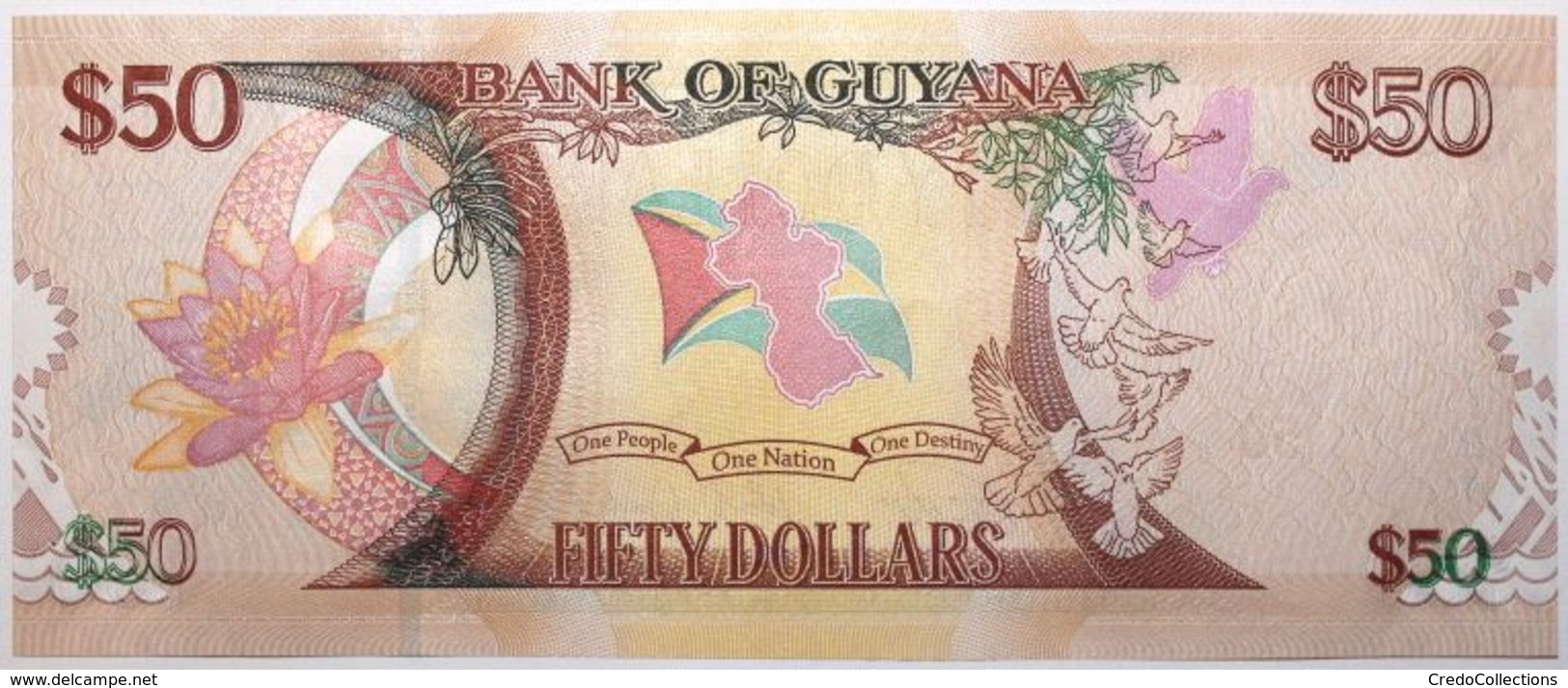 Guyana - 50 Dollars - 2016 - PICK 41 - NEUF - Guyana