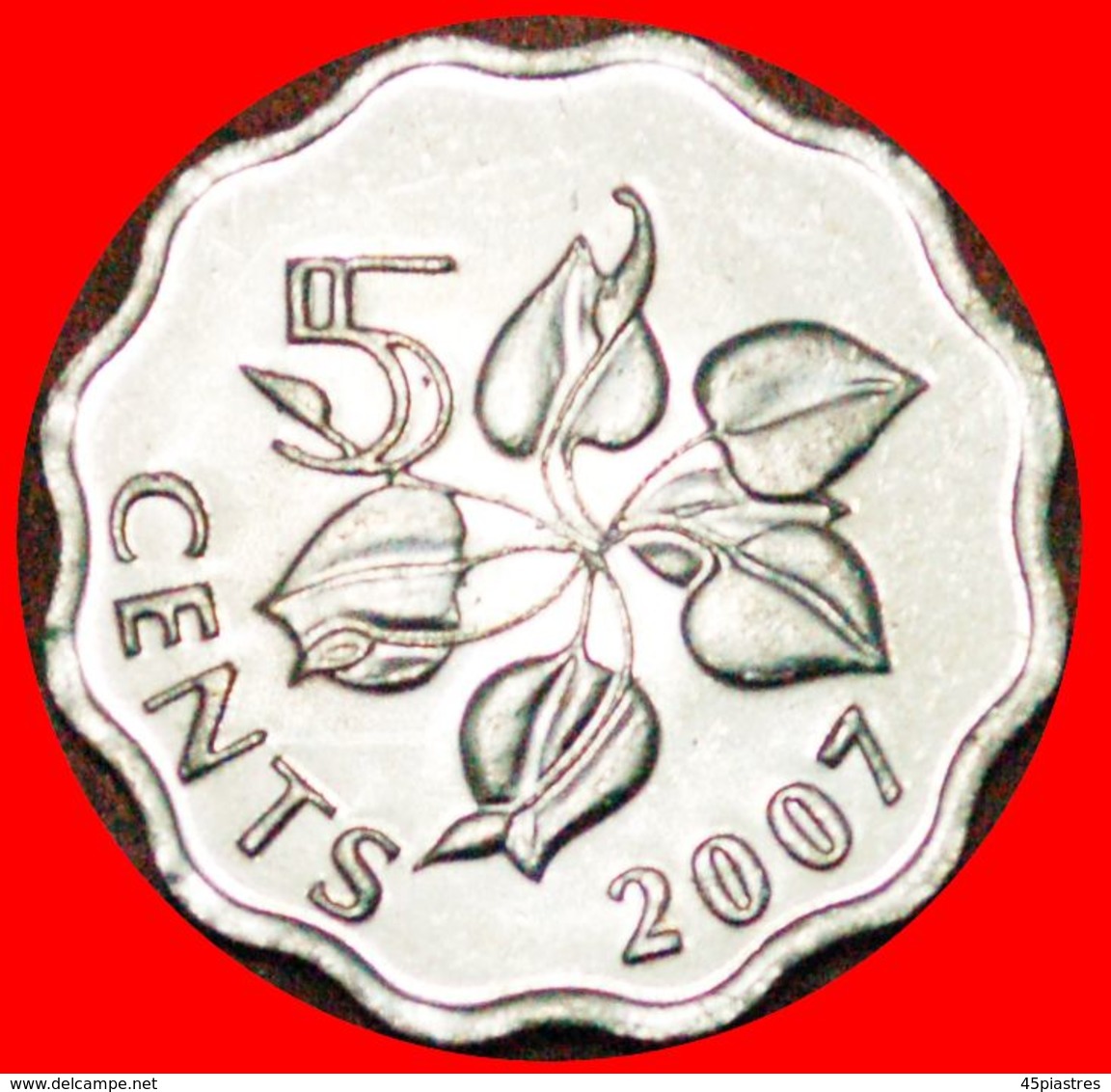 · LILY: SWAZILAND ★ 5  LILY: SWAZILAND &#9733; 5 CENTS 2007! MINT LUSTER! LOW START&#9733;NO RESERVE! Mswati III (1986-) - Swaziland