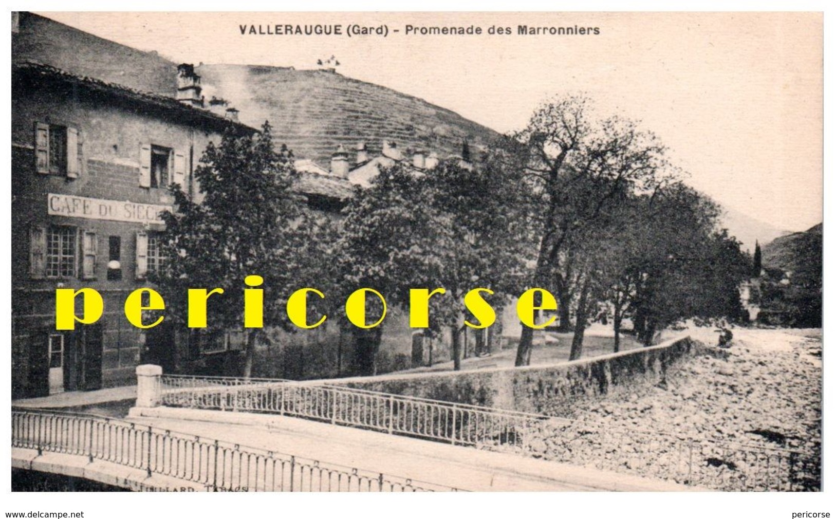 30  Valleraugue  Café Du Siecle Promenade Des Marronniers - Valleraugue
