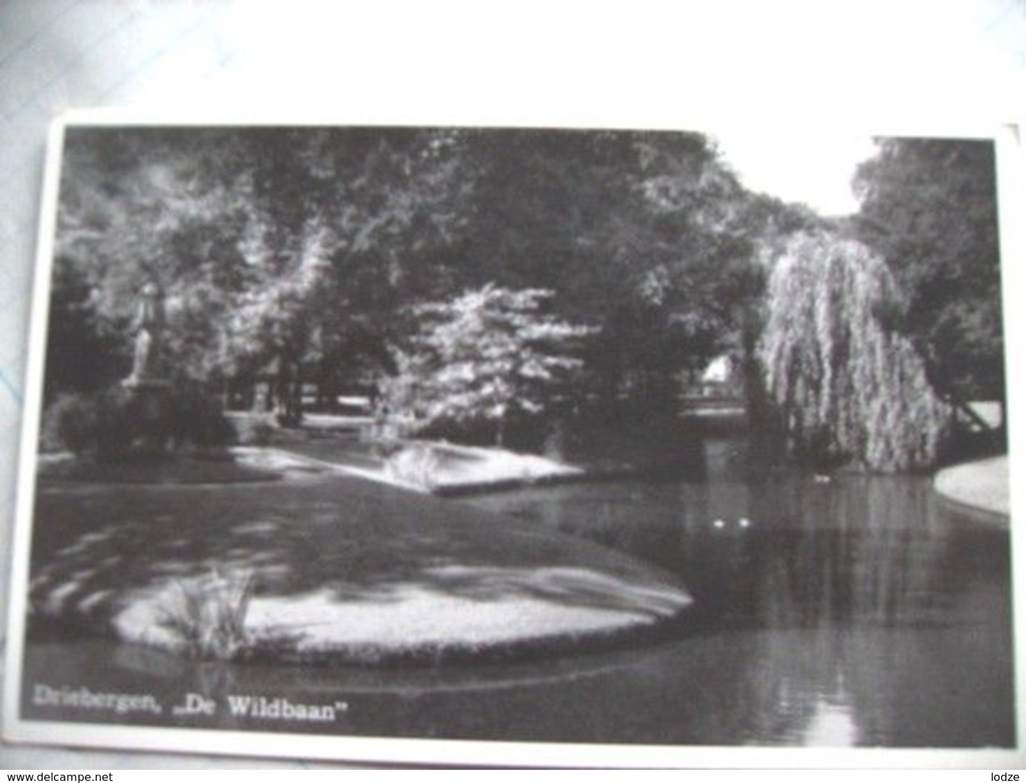 Nederland Holland Pays Bas Driebergen Met Wildbaan In Park - Driebergen – Rijsenburg