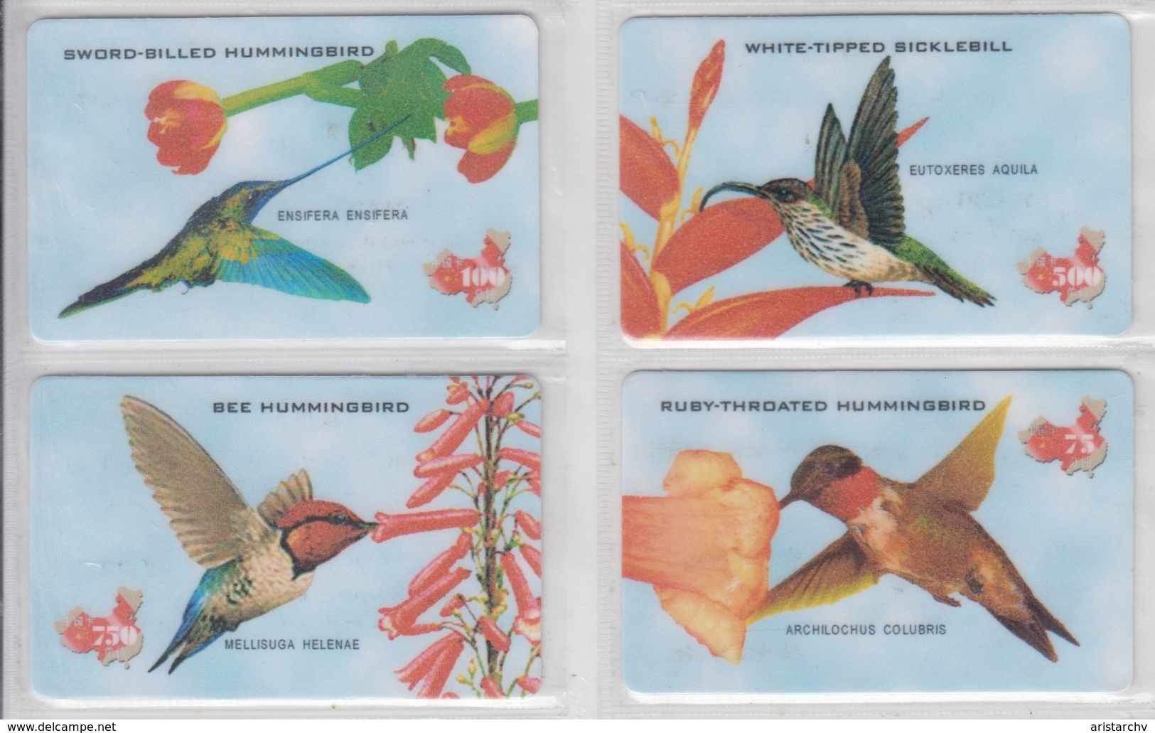 CHINA BIRDS BEE HUMMINGBIRD SICKLEBILL COLIBRI SET OF 4 CARDS - Pájaros Cantores (Passeri)