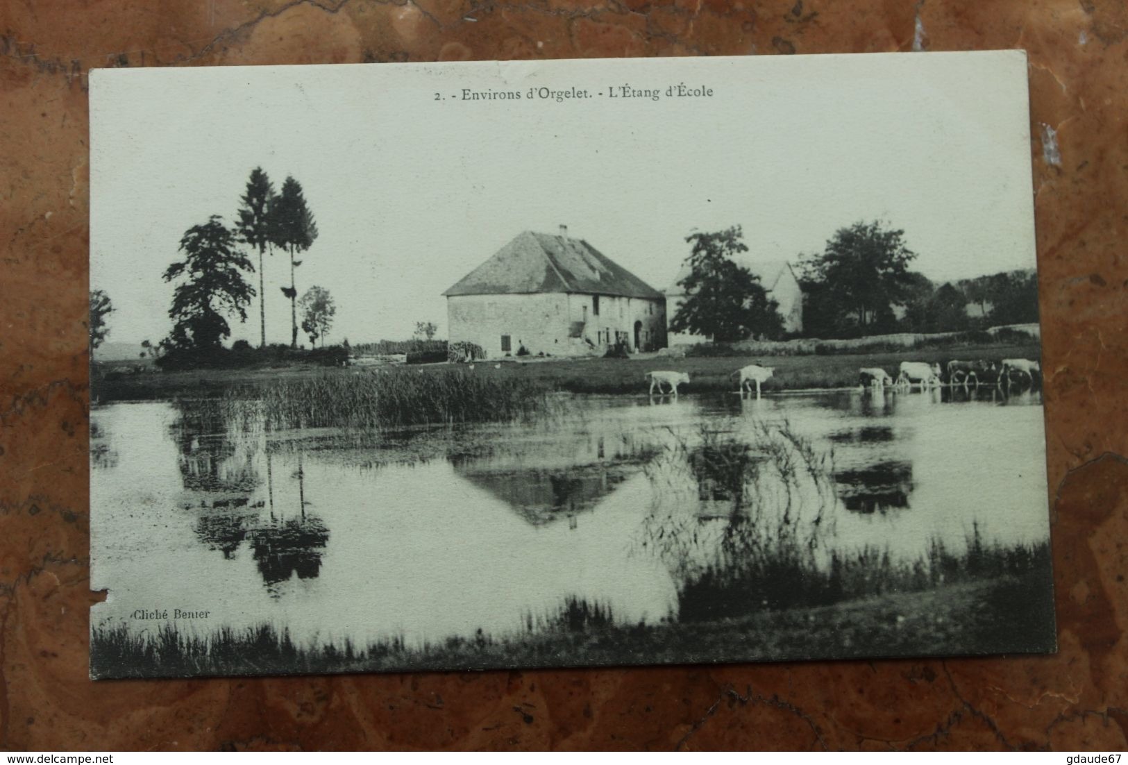 ORGELET (39) - ENVIRONS - L'ETANG D'ECOLE - Orgelet