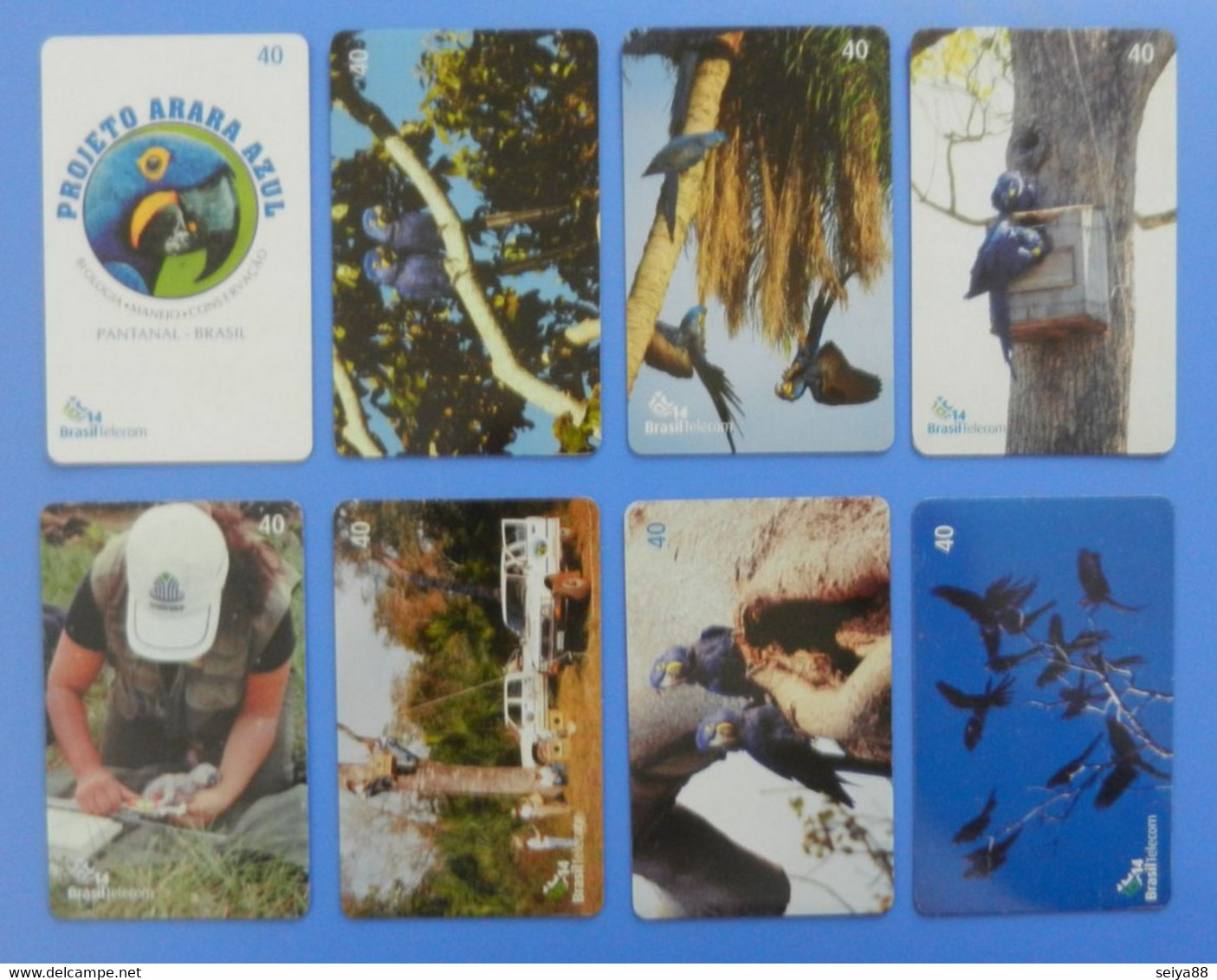 Brasil Brazil Parrot Hyacinth Macaw X8 Complete Set Cards Bird Oiseaux Vogel Birds Parrots Projeto Arara Azul - Papageien