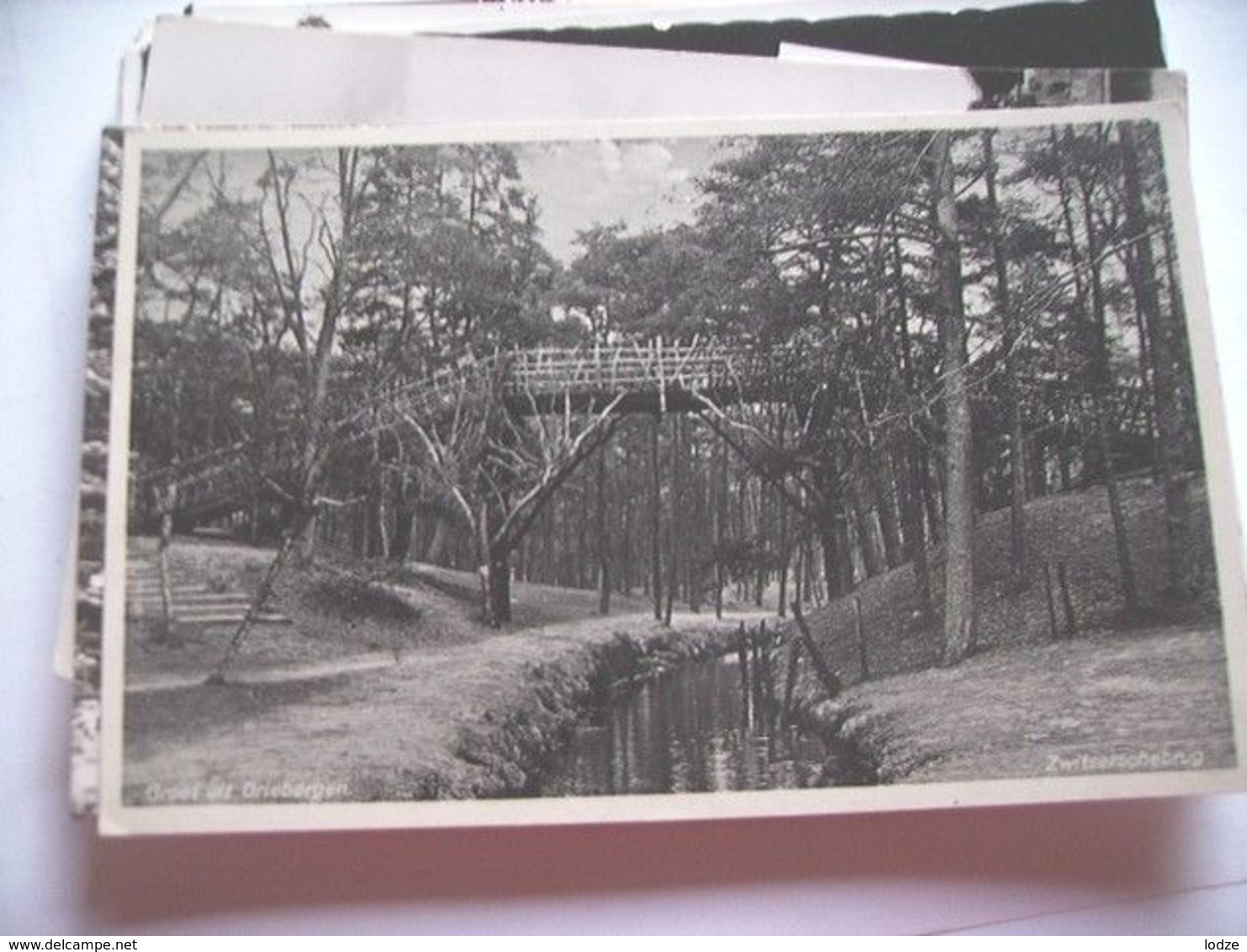 Nederland Holland Pays Bas Driebergen Hoge Brug In Het Bos - Driebergen – Rijsenburg