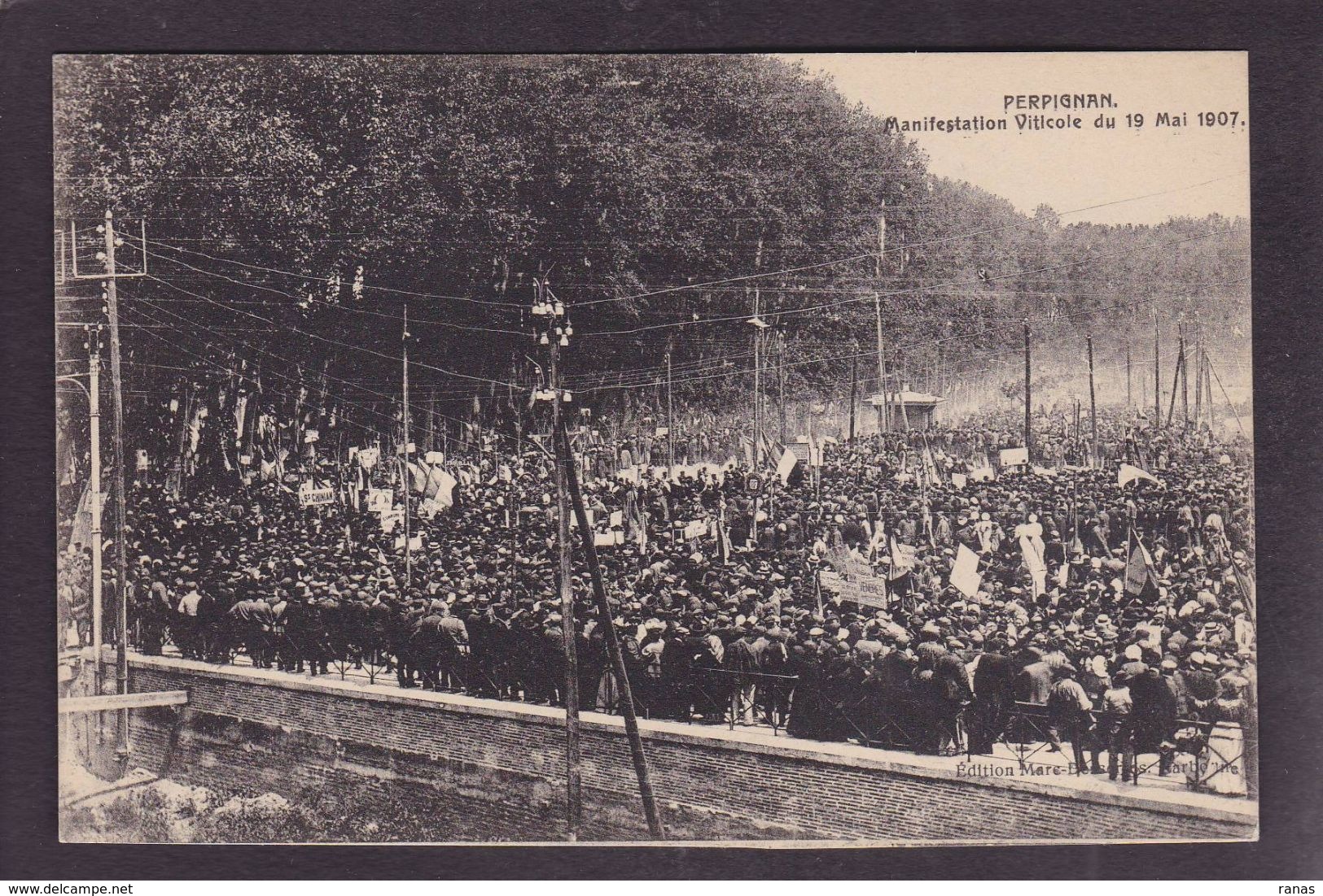CPA Pyrénées Orientales 66 Perpignan Manifestation Viticole 1907 Non Circulé éditeur Narbonne - Perpignan